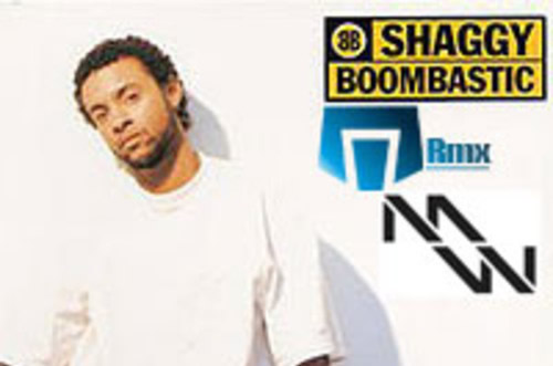 Stephan Mangloo et Matt Waro remixent Boombastic de Shaggy
