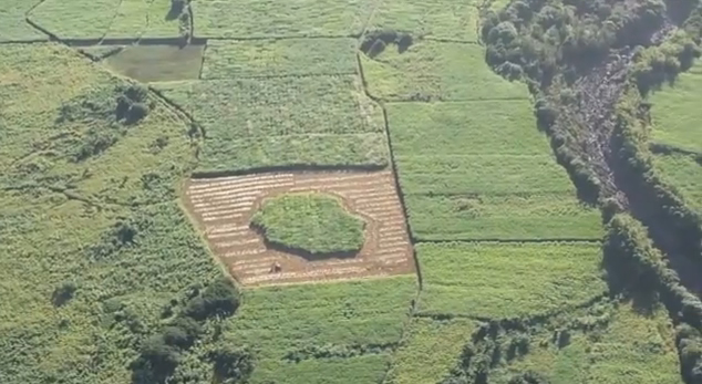 Crop circle à la Réunion