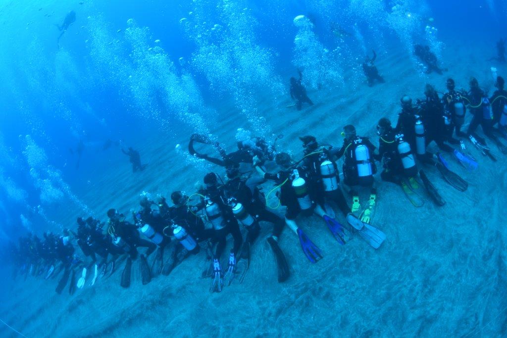 Validation du record de la chaine humaine sous marine la plus longue à la Réunion
