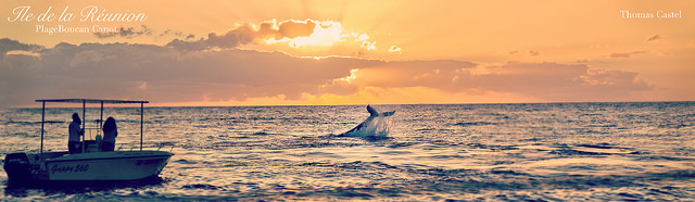 Baleineau – plage de boucan canot