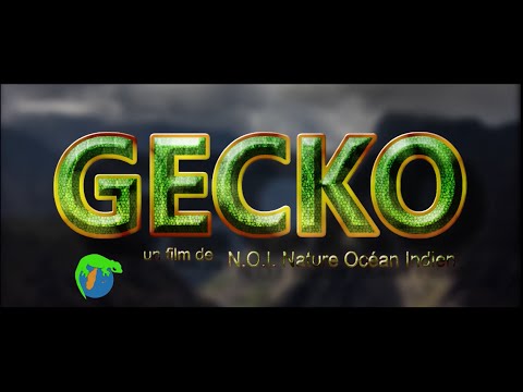 Documentaire sur les geckos verts endémiques de l’île de La Réunion