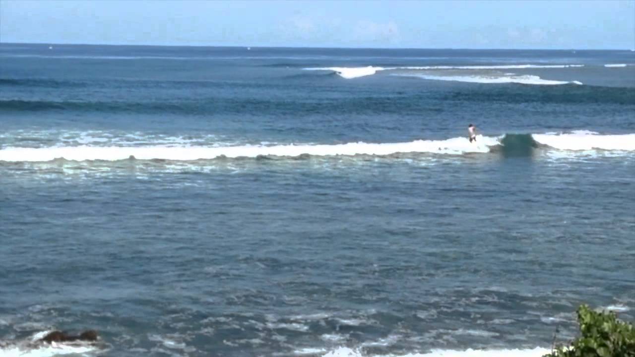 Vidéo : Des surfeurs à l’eau malgré le risque requins à la Réunion