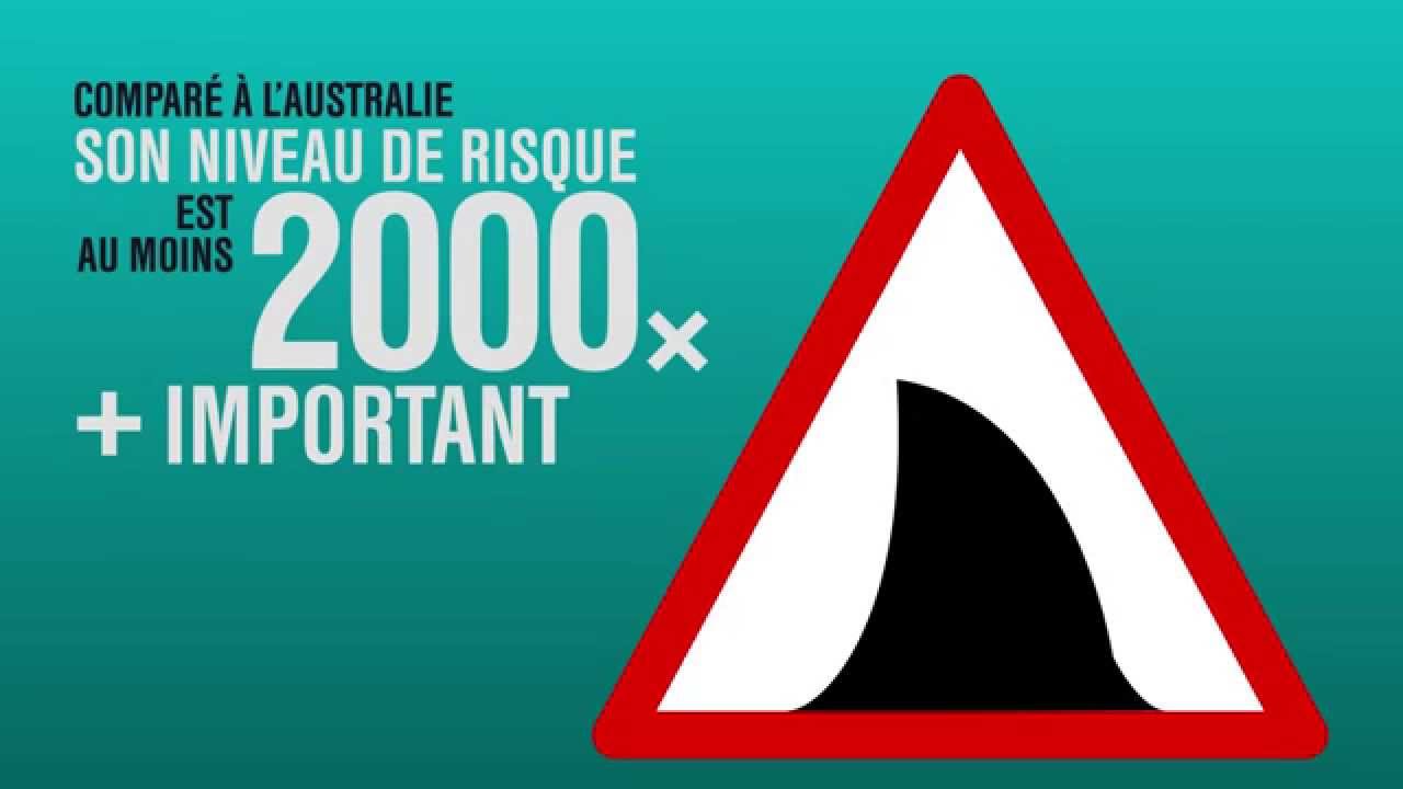Vidéo Comprendre la crise requin à l’île de la Réunion en 2 minutes