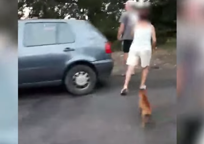 Une femme tente d’abandonner un chien en pleine rue
